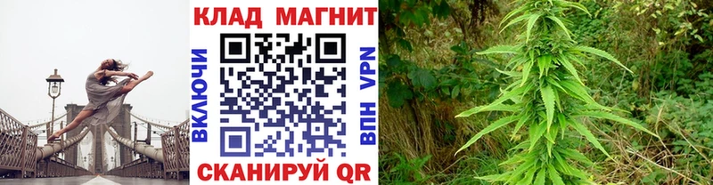 Купить наркотики цена Котельнич Псилоцибиновые грибы Alpha-PVP ГЕРОИН МЕФ Марихуана ГАШ