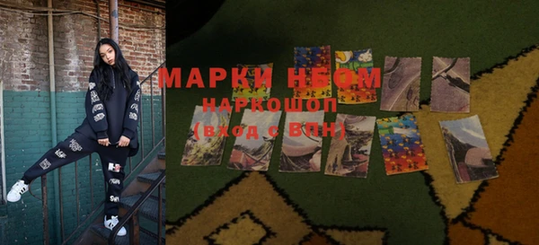 мдпв Корсаков